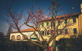 Le Vigne Morosina